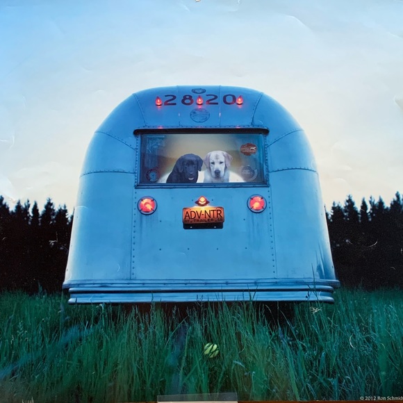 Welcome to my closet! - Picture 4 of 5